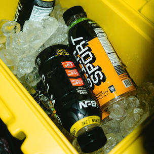 Fast Digesting Carbohydrates